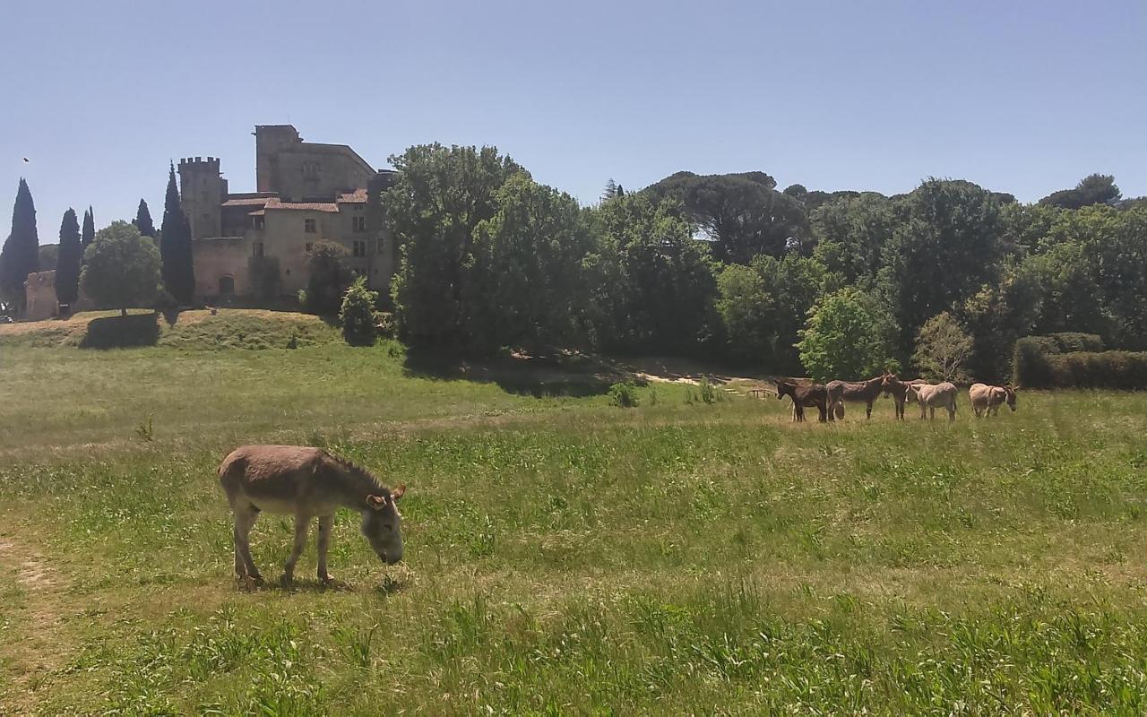 Une Chambre En Luberon Puyvert Dış mekan fotoğraf