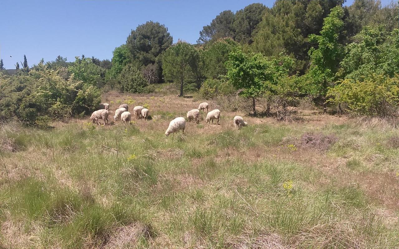 Une Chambre En Luberon Puyvert Dış mekan fotoğraf